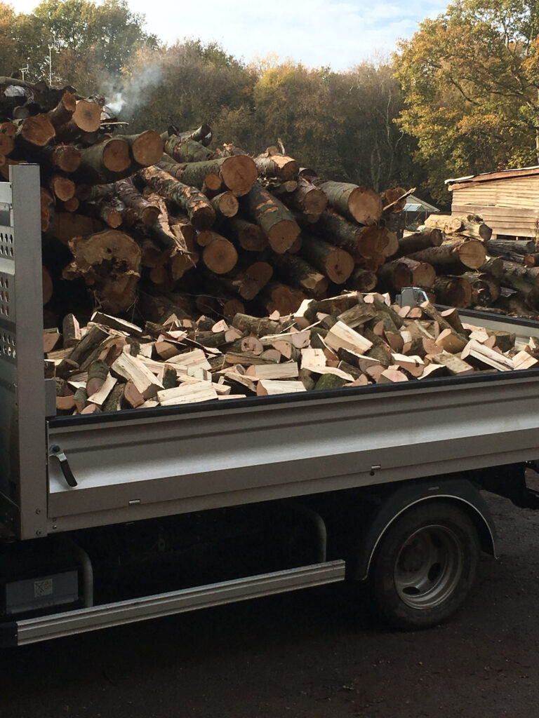 Firewood